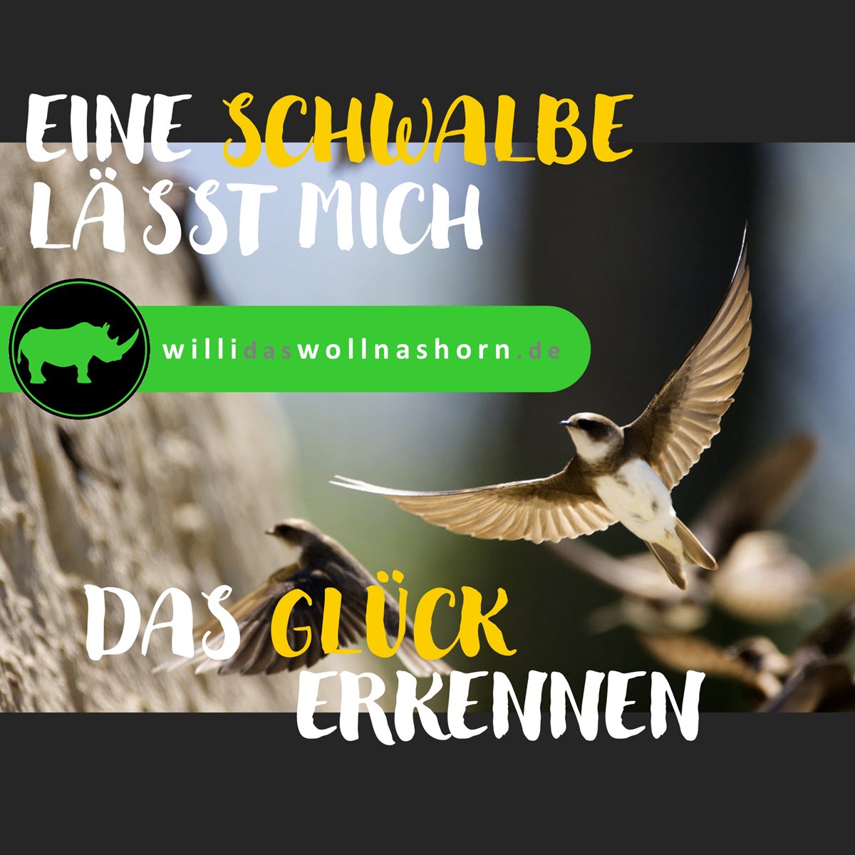 Eine-Schwalbe-laesst-mich-das-Glueck-erkennen-Willi-das-Wollnashorn-1200x1200.jpg